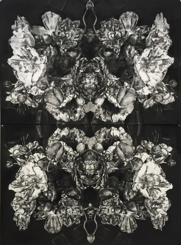 Amy Dynan, Poppies - Stillness in Movement, Charcoal on Paper, 150 x 106cm (each), 6,450 each