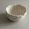Jo Wood, Folded Bowl 3      