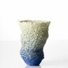 Kim-Anh Nguyen, Spinifex Blue Green 