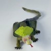 Princess Goanna Brooch