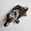 Duck Platypus 