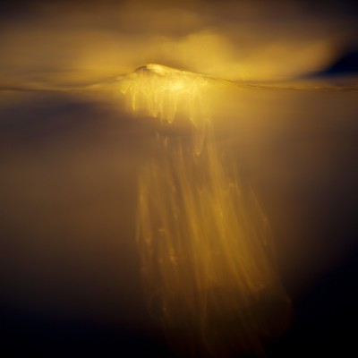 Sea Level - The Art of Awareness - Head On Photo Festival