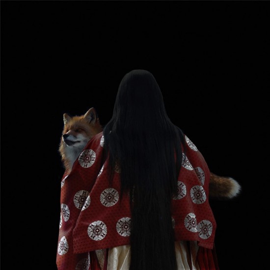 kitsune bi [foxfires] XI 2018 