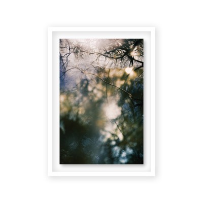 The Gallery will be reopening to the public on Thursday 21st October