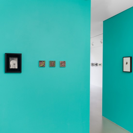 Installation View, Work by Renee French, Catriona Secker, Claire Welch and Kirrily Anderson, Photo by Docqment Photography 
