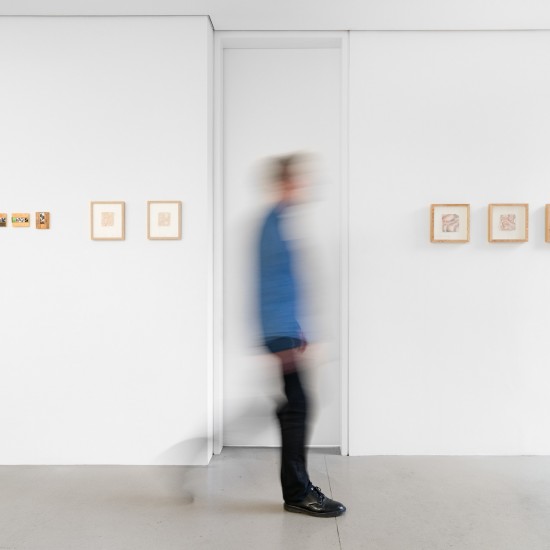 Installation View, Work by Camille Gillybœuf, Barbara Ryman, and Lucy Chetcuti, Photo by Docqment Photography 