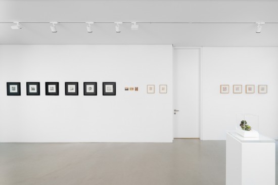 Installation View, Work by Camille Gillybœuf, Barbara Ryman, Lucy Chetcuti, and Kendal Murray, Photo by Docqment Photography 