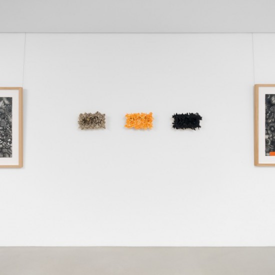 'Colloquy' Installation View 