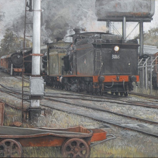 Train day Thirlmere  Dobel Drawing Prize Finalist 2011