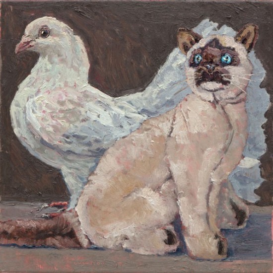 Unnamed pigeon with cat 